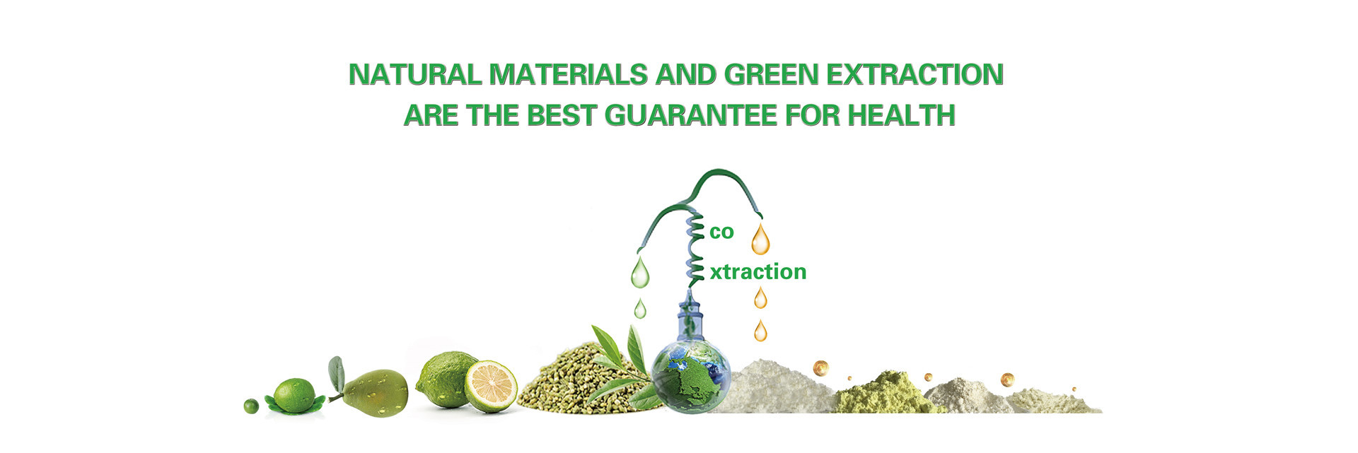 calidad polvo del extracto de la fruta cítrica fábrica